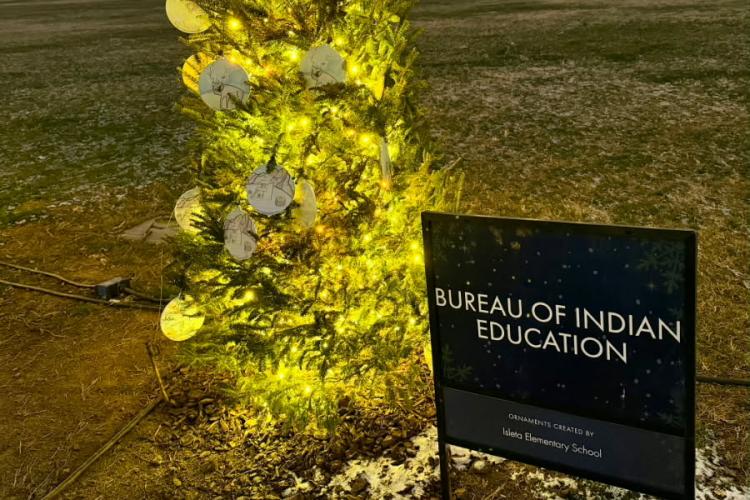 A decorated Christmas tree outdoors lit up at night.