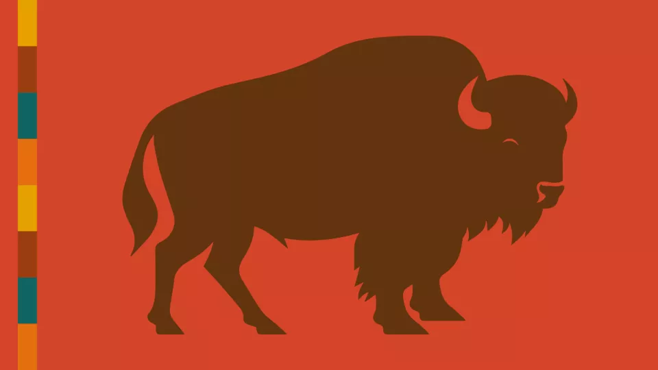 Cartoon drawing of a brown bison on a red background