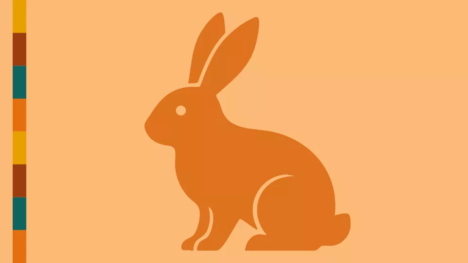 Graphic representation of a rabbit that is dark orange on a light orange background.