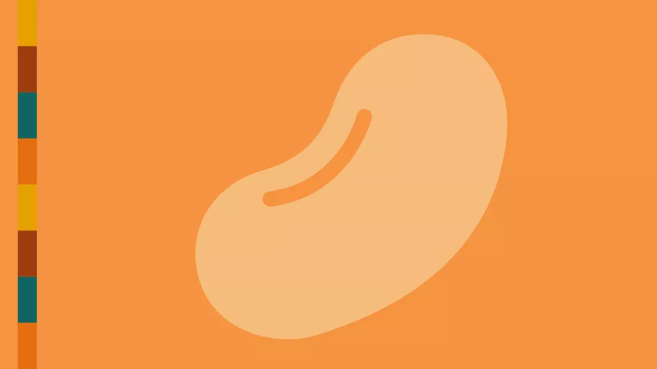 An animated drawing of a bean.