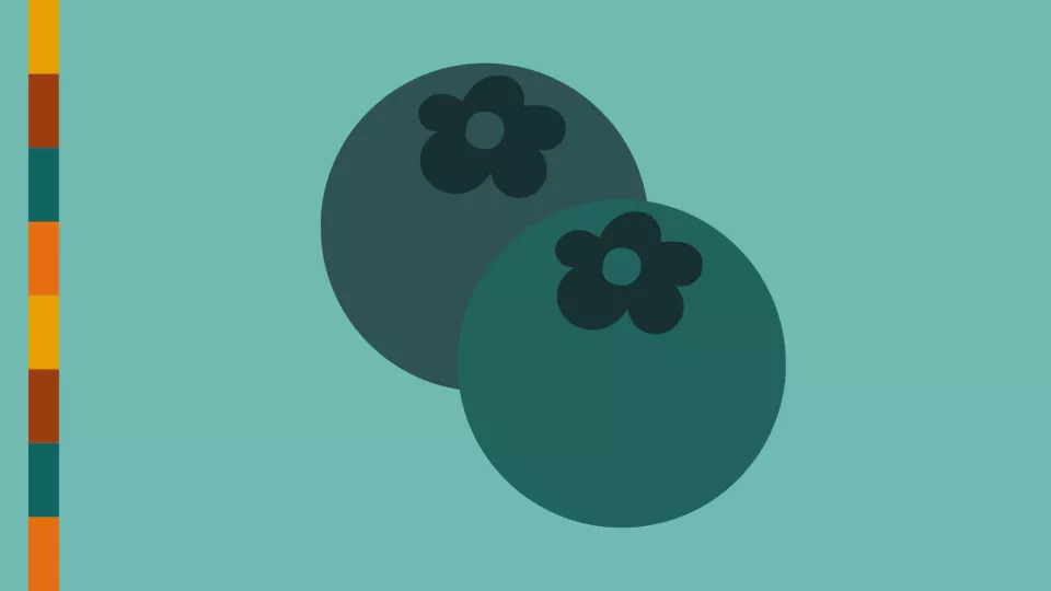 A graphic of two blueberreis.