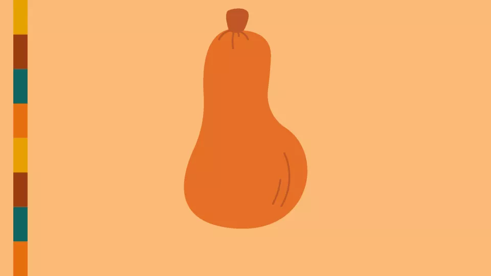 Graphic of a winter squash that is colored orange.