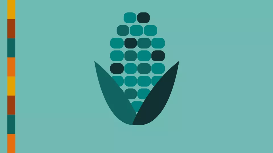 Cartoon graphic of blue corn.