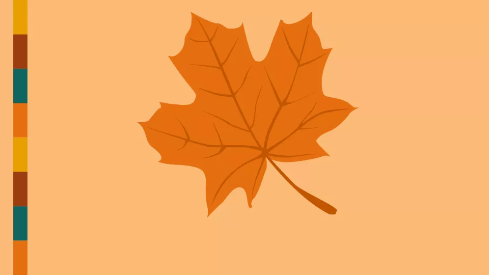 Graphic of maple leaf