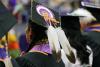 A close-up view of Native American graduates in caps and gowns at a graduation ceremony. The central graduate wears a decorated cap featuring a detailed beaded design of a Native figure in purple, white, and gold, bordered with gold thread and adorned with two large white feathers hanging down the back. Other graduates nearby also wear traditional regalia elements with their academic attire. The scene conveys pride, cultural identity, and academic achievement.