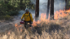 A firefighter in a yellow jacket and protective equipment walks through a field of flames, overseeing prescribed burn.